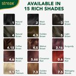 Buy Streax cream Hair colour, 100% Grey Coverage, No Ammonia, Long Lasting Permanent hair colour, Light Brown, 120 ml - Purplle
