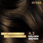 Buy Streax cream Hair colour, 100% Grey Coverage, No Ammonia, Long Lasting Permanent hair colour, Golden Brown, 120 ml - Purplle