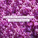 Buy Meera Enrich Shampoo For Strong & Anti-Frizz Hair, Enriched With Kashmir's Saffron, For Men & Women, Paraben, Silicone & Sulphate Free, 500ml - Purplle