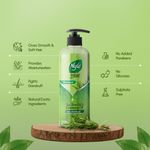 Buy Nyle Natural & Pure Anti Dandruff Shampoo, With Goodness Of Tea Tree Oil & Rosemary Oil, For Men & Women, No Paraben, No Sulphate and No Silicone, 300ml - Purplle