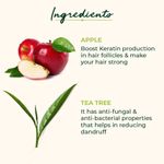 Buy Organic Harvest Anti Dandruff Shampoo with Tea Tree and Apple Cider Vinegar for Women & Men | For All Type Hair | Free from Chemicals, Mineral Oils, Alcohol (500 ml) - Purplle