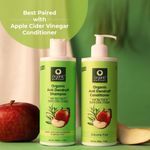 Buy Organic Harvest Anti Dandruff Shampoo with Tea Tree and Apple Cider Vinegar for Women & Men | For All Type Hair | Free from Chemicals, Mineral Oils, Alcohol (500 ml) - Purplle