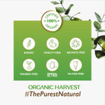 Buy Organic Harvest Vitamin B Face Sheet Mask, Provide Instant Hydration, Suitable for Oily Skin (20 gm) - Purplle