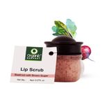 Buy Organic Harvest Lip Scrub with Beetroot Extract, Suitable for Dry & Chapped Lips Beetroot (Pack of: 1, 8 g) - Purplle