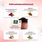 Buy Organic Harvest Lip Scrub with Beetroot Extract, Suitable for Dry & Chapped Lips Beetroot (Pack of: 1, 8 g) - Purplle