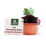 Buy Organic Harvest Lip Plumping Mask with Beetroot Extracts, Suitable for Dry & Chapped Lips (Pink) - Purplle