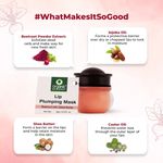 Buy Organic Harvest Lip Plumping Mask with Beetroot Extracts, Suitable for Dry & Chapped Lips (Pink) - Purplle