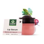 Buy Organic Harvest Lip Serum with Beetroot Extract, Suitable for Dry & Chapped Lips Beetroot (Pack of: 1, 8 g) - Purplle