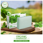 Buy Organic Harvest Mint Soap Bathing Bar, For Skin Moisturisation, Ideal For All Skin Types, 100% Organic, Chemical, Paraben & Sulphate Free a€“ 125 gm Each (Pack of 1) - Purplle