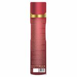 Buy Trendsetter Collection Room Freshener Spray Bushra for Home and Office with Long Lasting Fragrance 300ml Each (Pack of 2) - Purplle