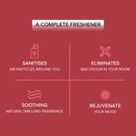 Buy Trendsetter Collection Room Freshener Spray Bushra for Home and Office with Long Lasting Fragrance 300ml Each (Pack of 2) - Purplle
