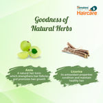 Buy Himalaya Gentle Daily Care Protein Shampoo (700 ml) - Purplle