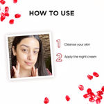 Buy Alps Goodness Pomegranate, Collagen & Retinol Rejuvenating Night Cream (40 gm) | For Mature skin | For ageing skin | Skin tightening cream - Purplle