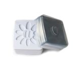 Buy BEROMT BLISTER TRAY FOR FALSE NAILS PACK OF 100 TRAYS - 01 - Purplle