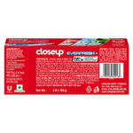 Buy Closeup Everfresh Red Toothpaste Hot 300g - Purplle