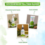 Buy Mamaearth Tea Tree Body Wash With Tea Tree & Neem For Skin Purification (300 ml) - Purplle