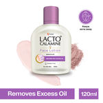 Buy Lacto Calamine Face Lotion kaolin Clay with Aloe vera for Combination to Normal Skin, (120 ml) - Purplle