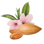 Buy Biotique Almond Oil Nourishing Bathing Bar (75 g) - Purplle