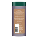 Buy Biotique Walnut Volume & Bounce Shampoo & Conditioner 180Ml - Purplle