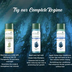 Buy Biotique Ocean Kelp Anti Hair Fall Shampoo 190 ml - Purplle