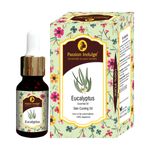 Buy Passion Indulge EUCALYPUS Essential oil For calming, heals wounds & prevents skin eruptions 10ML - Purplle