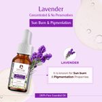 Buy Passion Indulge LAVENDER Essential oil For hair gowth and sebum balancer, & stimulant 10ML - Purplle