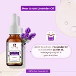 Buy Passion Indulge LAVENDER Essential oil For hair gowth and sebum balancer, & stimulant 10ML - Purplle