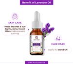 Buy Passion Indulge LAVENDER Essential oil For hair gowth and sebum balancer, & stimulant 10ML - Purplle