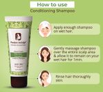 Buy Passion Indulge Aloe Tree Conditioning Shampoo For Anti-Dandruff, oily hair and softening and nourishing of hair - 200 ml - Purplle