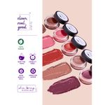 Buy Plum Touch-N-Go Lip & Cheek Tint | Highly Pigmented | Effortless Blending | 100% Vegan & Cruelty-Free | Mauve Along - 123 (Mauve Brown) - Purplle