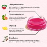 Buy Freshistry Bubble Gum Lip And Cheek Tint | Enriched With Cherry, Guava & Vitamin C | 10Gm (Pink) - Purplle