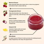 Buy Freshistry Beetroot Lip Scrub With Pomegranate Extract For Lightening & Moisturizing, Nourishment | For Dry & Dark Lips, Smokers | 10 GM - Purplle