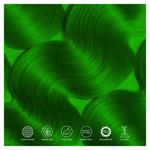 Buy Paradyes Ammonia Free Mayeri Green Semi-permanent Hair Color jar only (120 gm) - Purplle