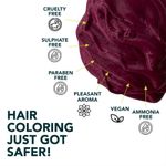 Buy Paradyes Ammonia Free Ruby Wine Semi-Permanent Hair Color (120 g) - Purplle