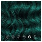 Buy Paradyes Ammonia Free Emerald Green Semi-Permanent Hair Color (120 gm) - Purplle
