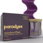Buy Paradyes Ammonia Free Amethyst Plum Semi-Permanent Hair Color (120 g) - Purplle