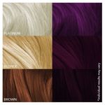 Buy Paradyes Ammonia Free Amethyst Plum Semi-Permanent Hair Color (120 g) - Purplle