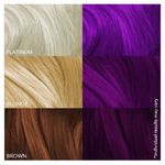 Buy Paradyes Ammonia Free Electric Purple Semi-Permanent Hair Color (120 gm) - Purplle