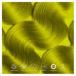 Buy Paradyes Ammonia Free Local Lime Semi-Permanent Hair Color (120 gm) - Purplle