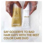 Buy Paradyes Quinoa and Flax Protein Color Care Shampoo enriched with Aloe Vera, Hibiscus and Amla which Hydrates and Nourishes hair, Color Care Formula, 250ml - Purplle