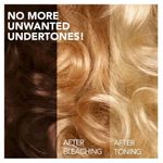 Buy Paradyes Fine Tone Toning Shampoo 200 ml - Purplle
