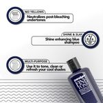 Buy Paradyes Fine Tone Toning Shampoo 200 ml - Purplle