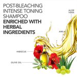 Buy Paradyes Fine Tone Toning Shampoo 200 ml - Purplle