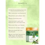 Buy AYA Australian Tea Tree Exfoliating Face Scrub, 100 ml | No Paraben, No Silicone, No Sulphate | - Purplle