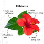 Buy Alps Goodness Powder - Hibiscus (50 g) | Gurhal Powder| Japapushpa Powder| 100% Natural Powder | No Chemicals, No Preservatives, No Pesticides | Hair Mask| Face Mask | RHair Mask for hair growth | Face Mask for dull skin - Purplle