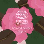 Buy Juicy Chemistry Damask Rose & Coffee Under Eye Cream, 5 g, Caffeine-rich Eye Cream for Dark Circles, Fine Lines & Puffy Under Eyes - Certified Organic Night Eye Cream - Purplle