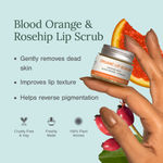 Buy Juicy Chemistry Organic Lip Scrub Fortified with Blood Orange & Rosehip, 10 gm | 100% Natural Exfoliating Lip Care | Smoothens | Brightens & Softens Lips - Purplle