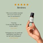 Buy Juicy Chemistry 100% Organic Rosemary Essential Oil 10ml / 0.34oz - Purplle