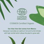 Buy Juicy Chemistry Aloe Vera Gel for Face, Hair & Body - Made with 100% Natural & Pure Aloe Vera Leaf Gel - Certified Organic (100 gms) - Purplle