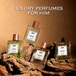 Buy WOW Skin Science Eau De Parfum Gulmarg Mist - Sublime And Earthy All Day Fragrance - Long Lasting & Unisex Perfume - 100 ml - Purplle